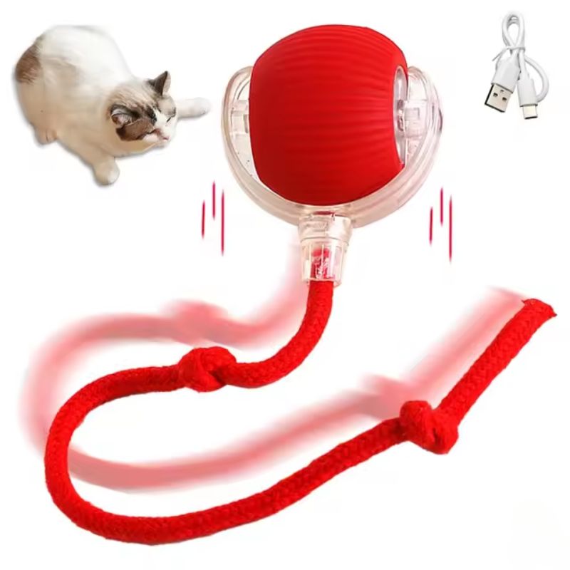 Bouncing toy for active and curious cats