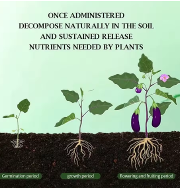 植物に自然に命を吹き込むための濃縮肥料