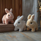Ultra-soft rabbit plush, the perfect cuddly companion 