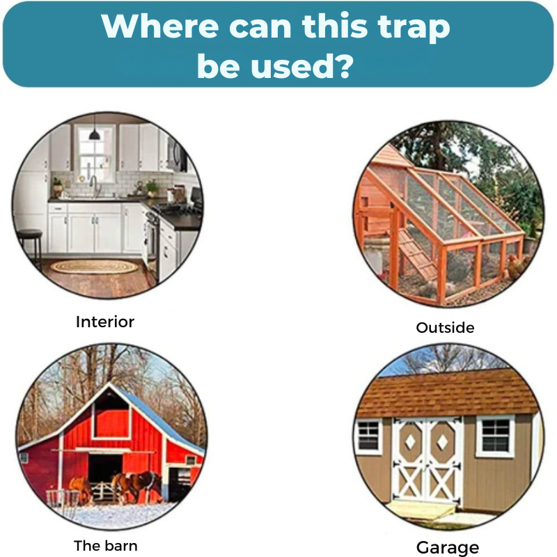 残酷なないげつけの罠 