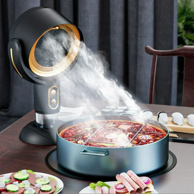 Hotte de Cuisine Portable contre Fumées et Odeurs de Cuisson