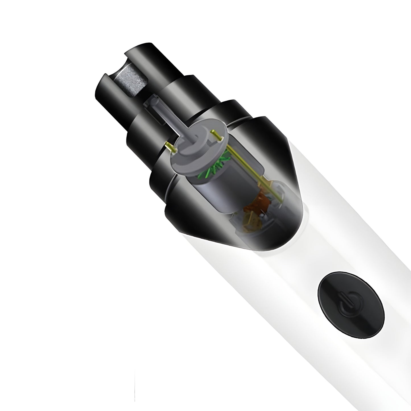 מַקְצֵעַ צִפּוֹרְנִים ללא לחץ עבור החיה שלך 