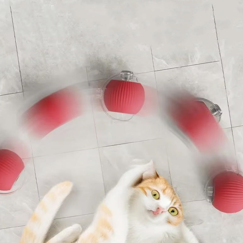 Bouncing toy for active and curious cats 