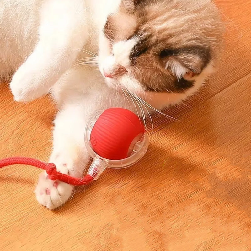 Bouncing toy for active and curious cats 