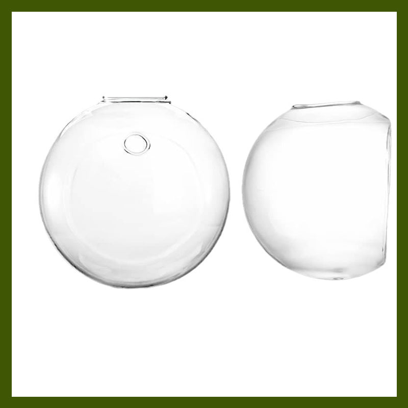 Destaca tus plantas en tus paredes, sin perforar 