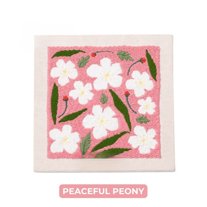 Kit di ricamo punch needle 