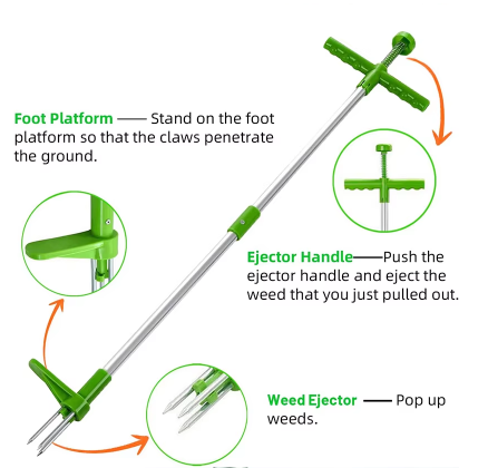 Estirpatore di erbacce in acciaio 